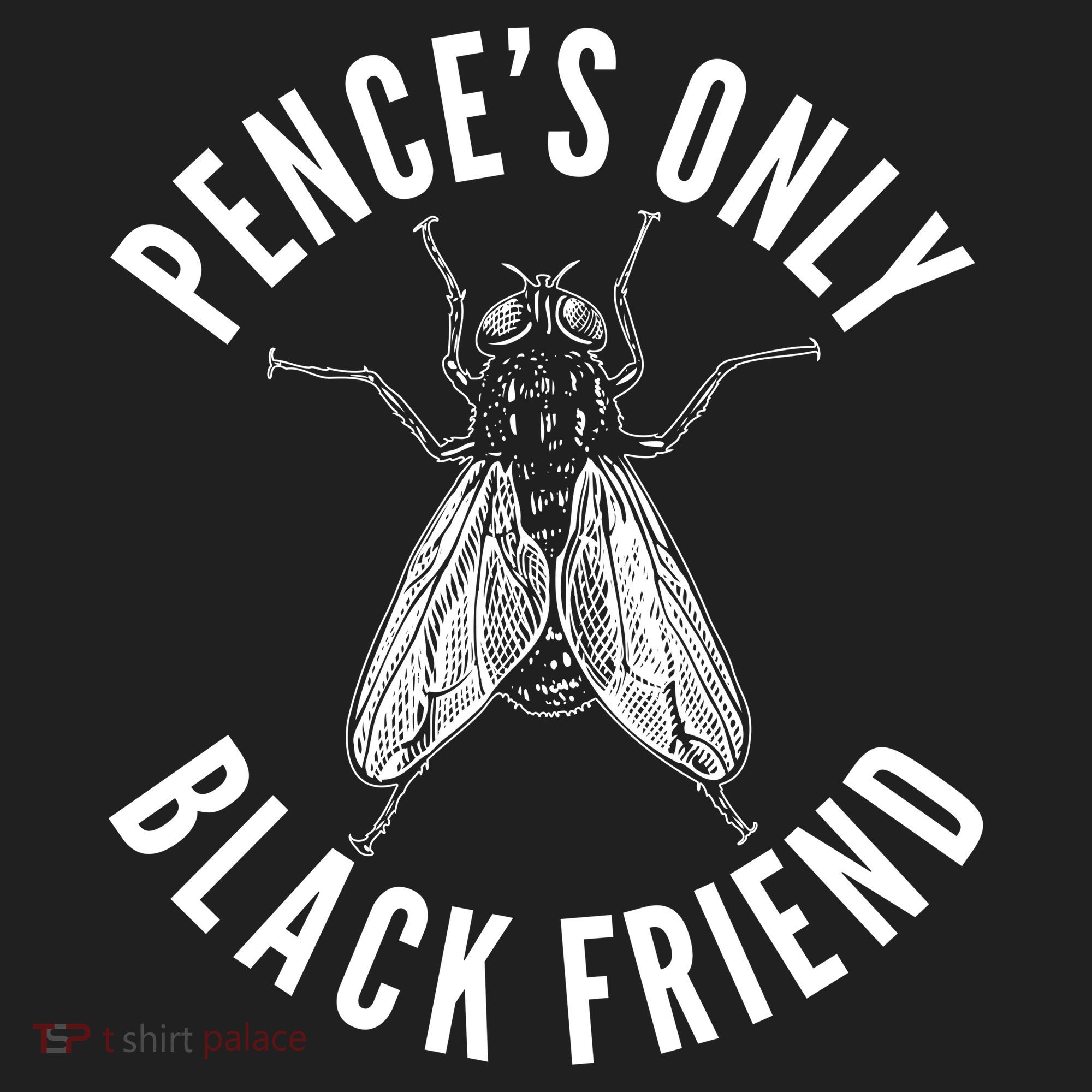 Pence's Only Black Friend Mike Pence Debate Fly Hat