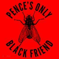 Pence's Only Black Friend Mike Pence Debate Fly Santa Hat thumb 1
