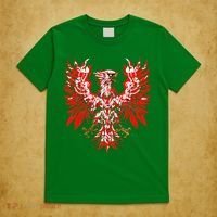 Polish Eagle Poland Polska Polish Eagle Polish Flag T-Shirt thumb 5