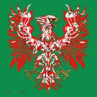 Polish Eagle Poland Polska Polish Eagle Polish Flag T-Shirt thumb 7