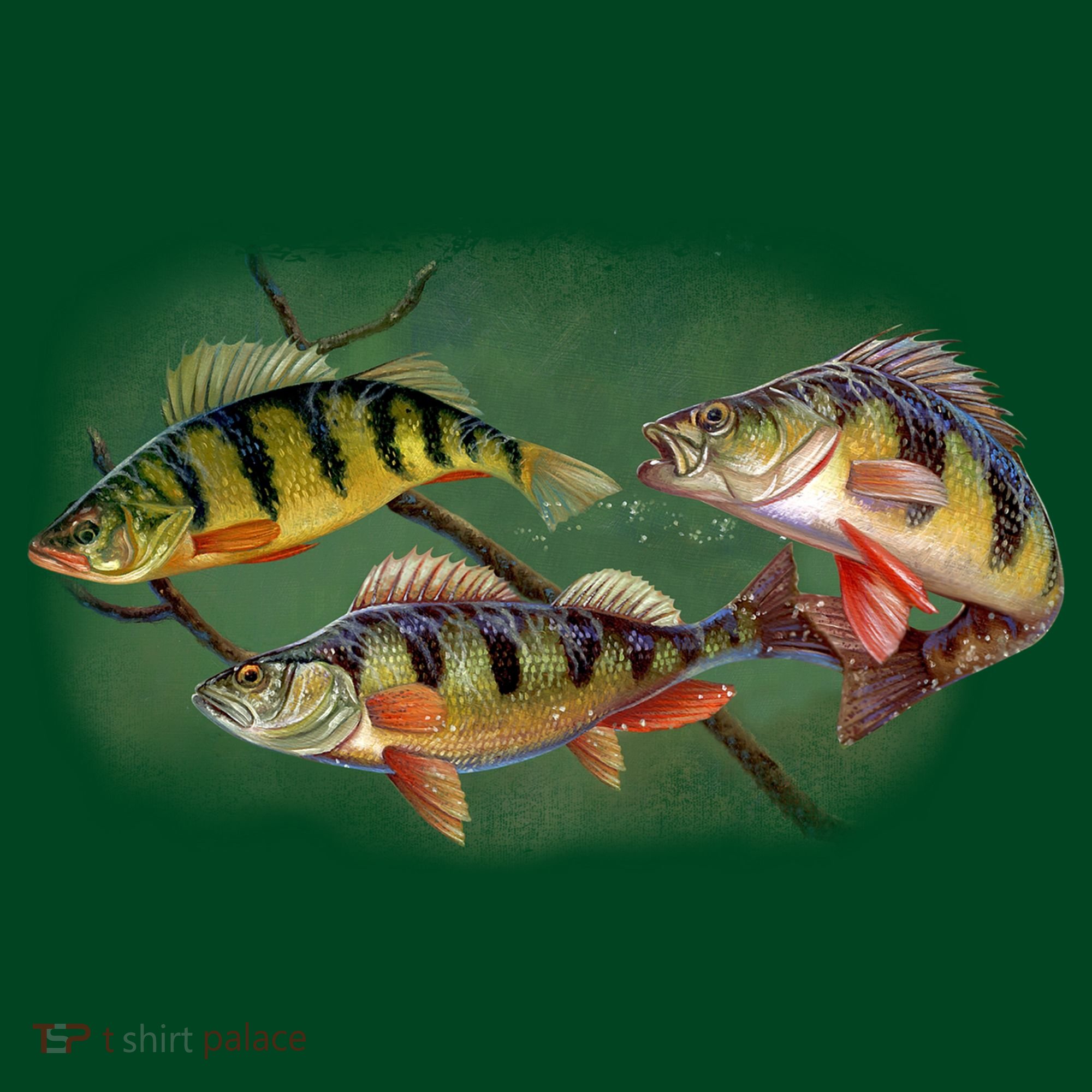 Perch Wild Life Fish Button