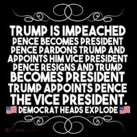 Perfection Pro Trump Impeached Women's Hoodie thumb 2