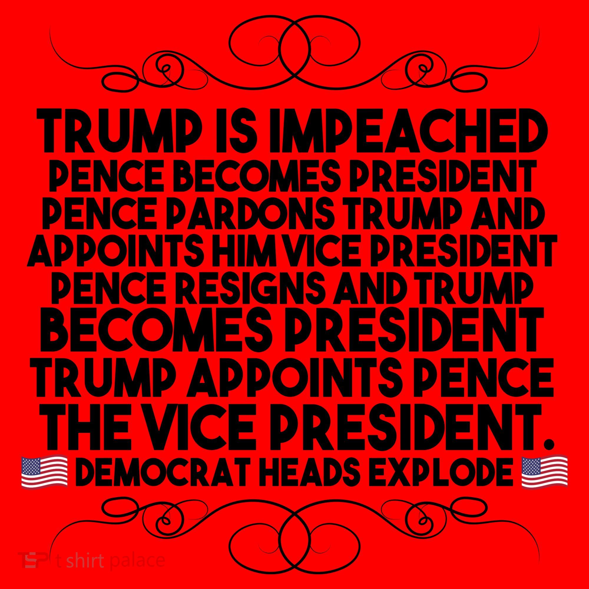 Perfection Pro Trump Impeached Santa Hat