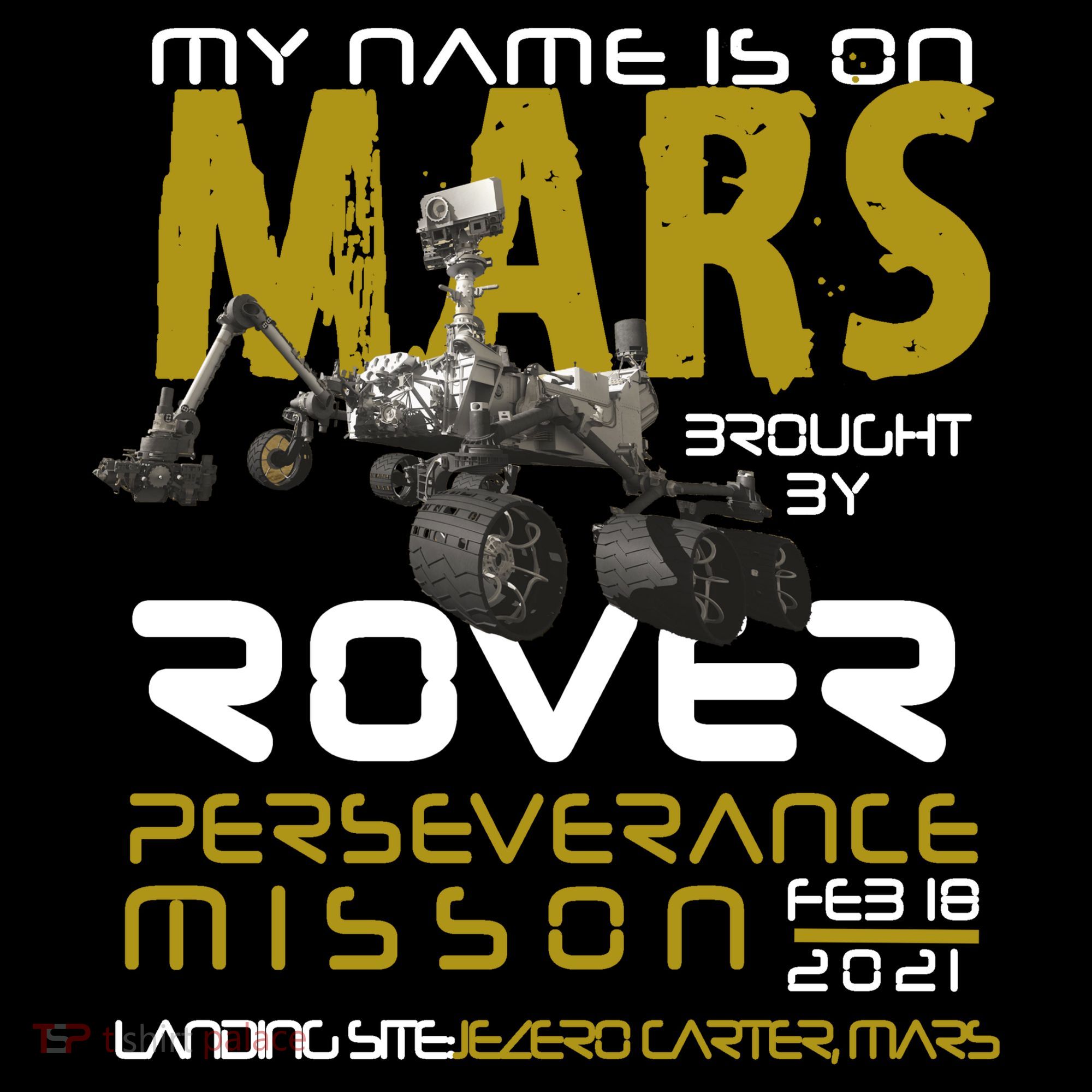 Perseverance Mars Rover Landing Hoodie