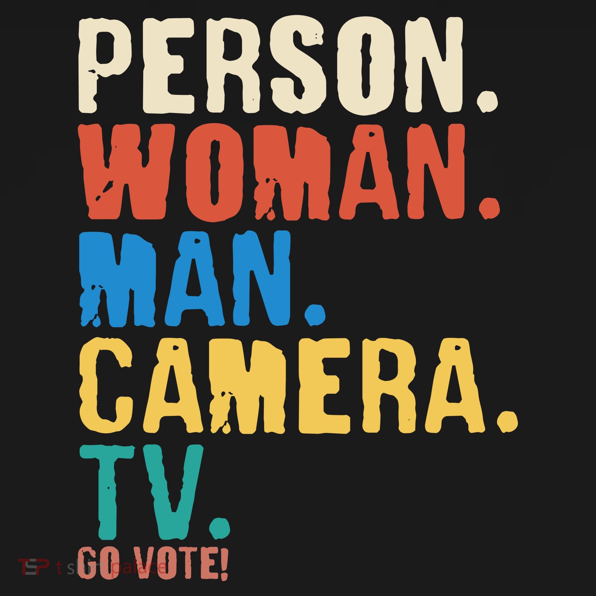 Person Woman Man Camera TV Go Vote Distressed Women's Hoodie