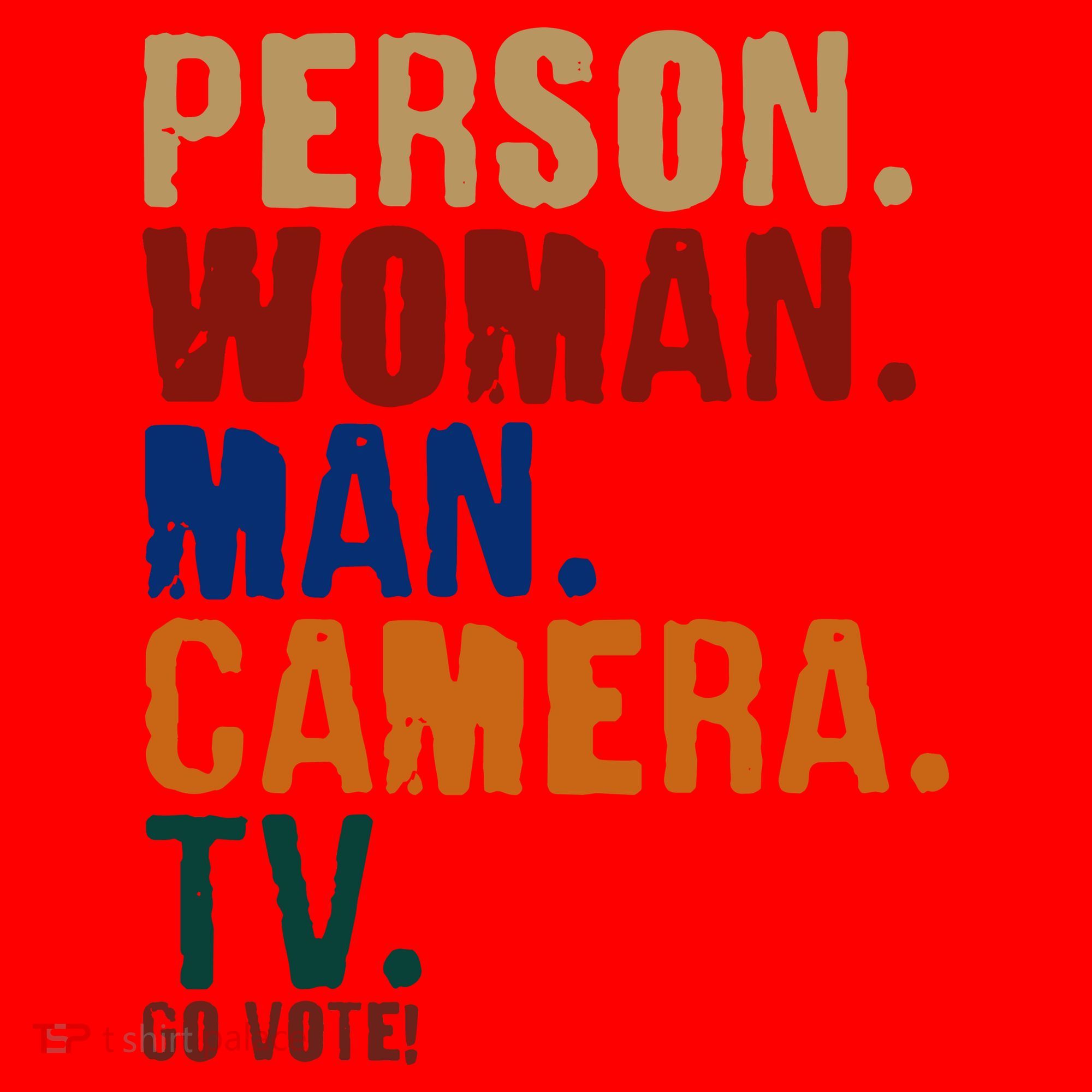 Person Woman Man Camera TV Go Vote Distressed Santa Hat