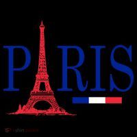 Paris Eiffel Tower Logo Kids Colorblock Raglan Jersey thumb 2