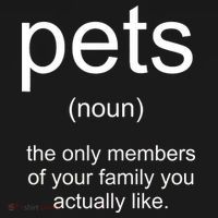 Pets Noun Members Of The Family You Like T-Shirt thumb 7