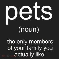 Pets Noun Members Of The Family You Like Kids Plaid Pajama Set thumb 2