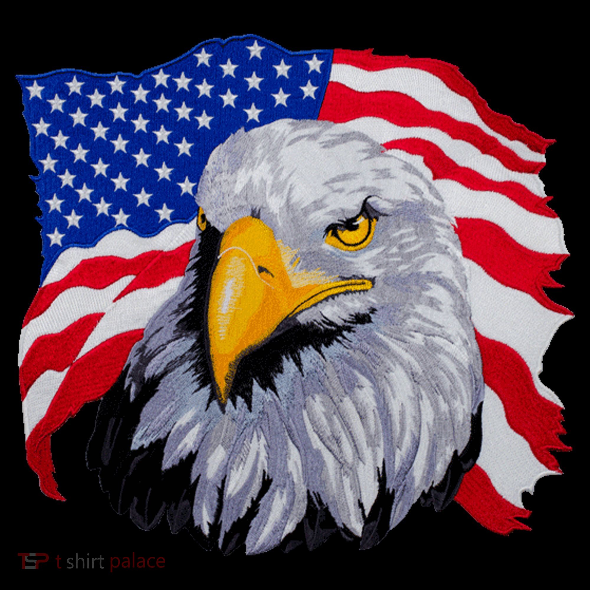 Patriotic Eagle USA American Flag Visor