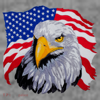 Patriotic Eagle USA American Flag Kids Long Sleeve Shirt thumb 2