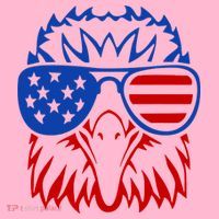 Patriotic Eagle USA American Flag Coaster thumb 2