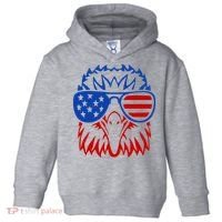 Patriotic Eagle USA American Flag Toddler Hoodie thumb 0