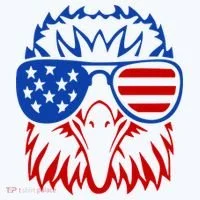 Patriotic Eagle USA American Flag Long Sleeve Shirt thumb 2