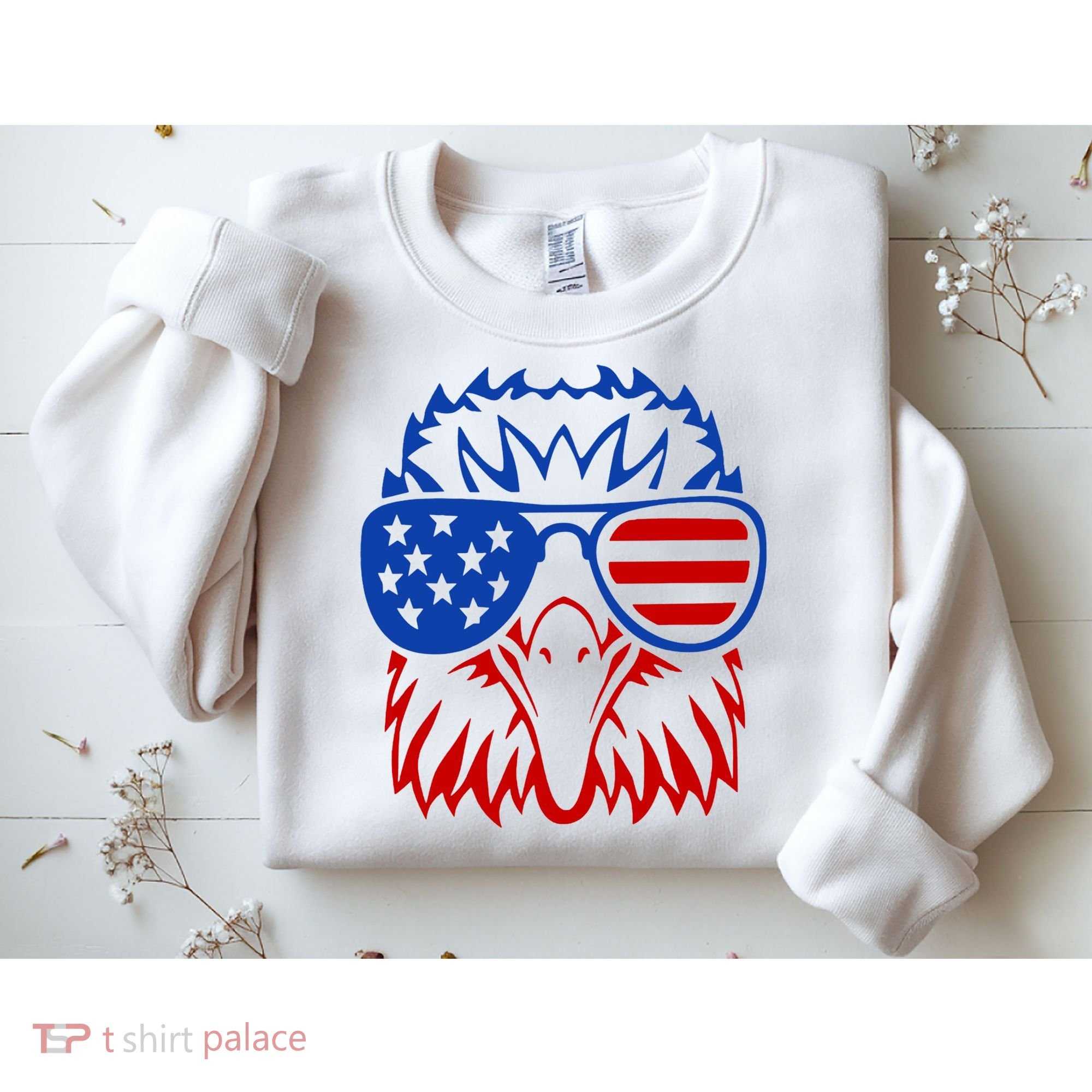 Patriotic Eagle USA American Flag Sweatshirt