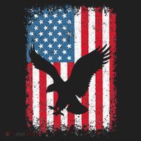Patriotic Eagle Usa American Flag Beanie thumb 2