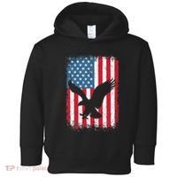 Patriotic Eagle Usa American Flag Toddler Hoodie thumb 0