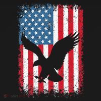 Patriotic Eagle Usa American Flag Visor thumb 3