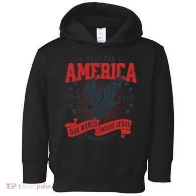 Pray For America In God We Trust Our World Needs Jesus Toddler Hoodie