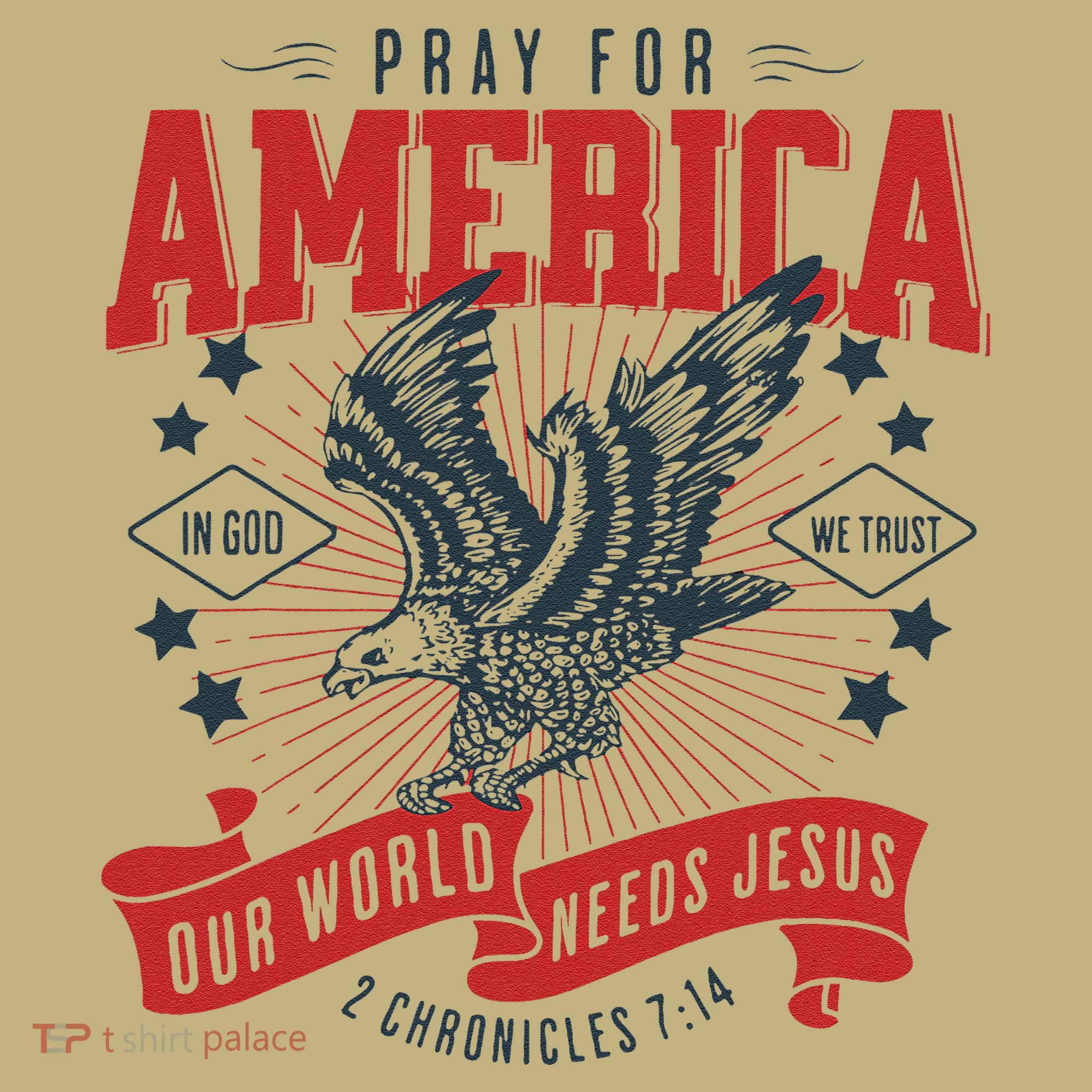 Pray For America In God We Trust Our World Needs Jesus T-Shirt