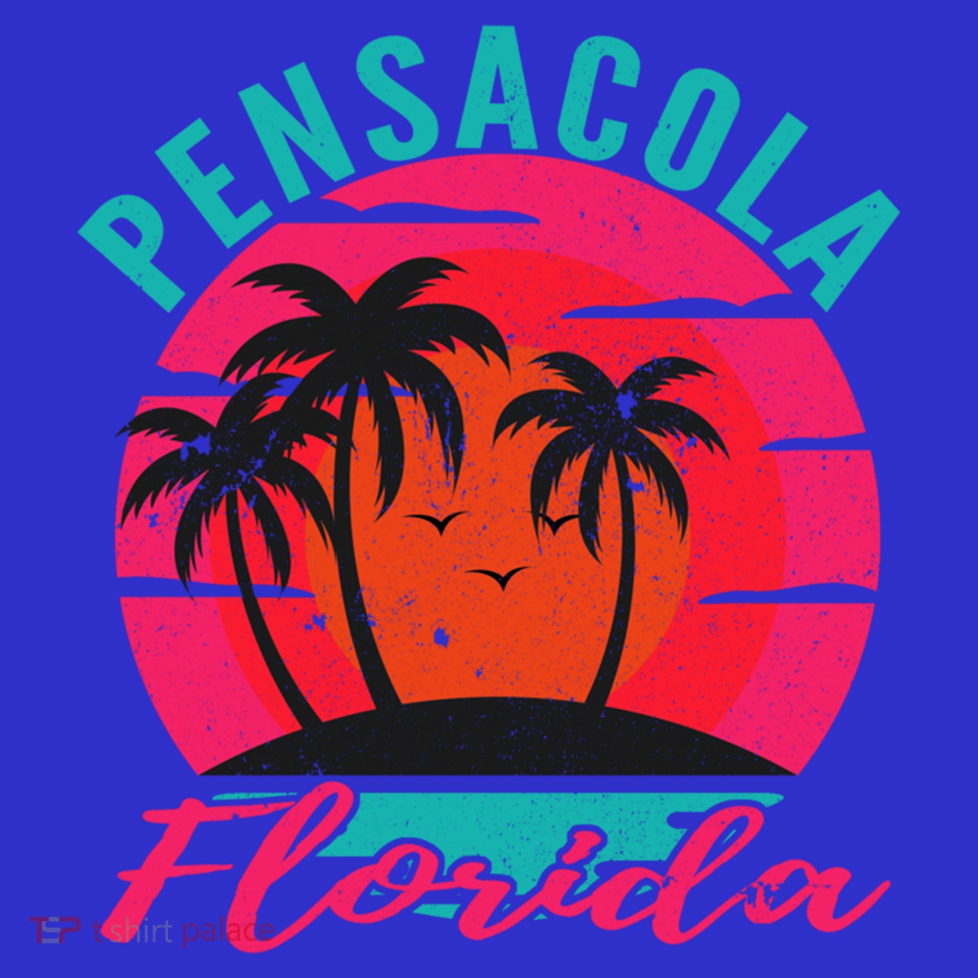 Pensacola Florida Beach Vacation Sunset Gift Women's Tank Top