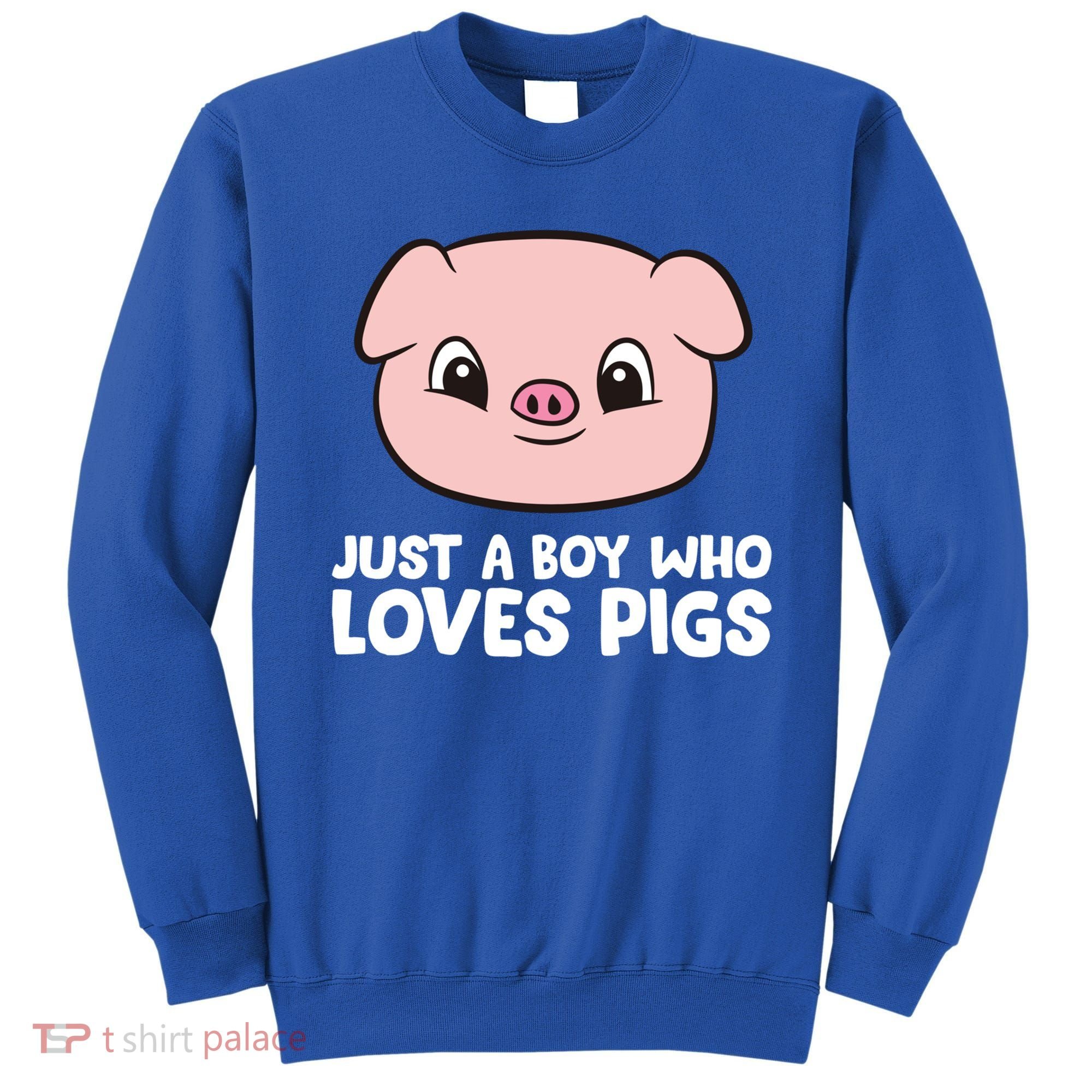 Pig Farmer Boy Just A Boy Who Loves Pigs Cool Gift Sweatshirt