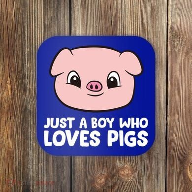 Pig Farmer Boy Just A Boy Who Loves Pigs Cool Gift Coaster