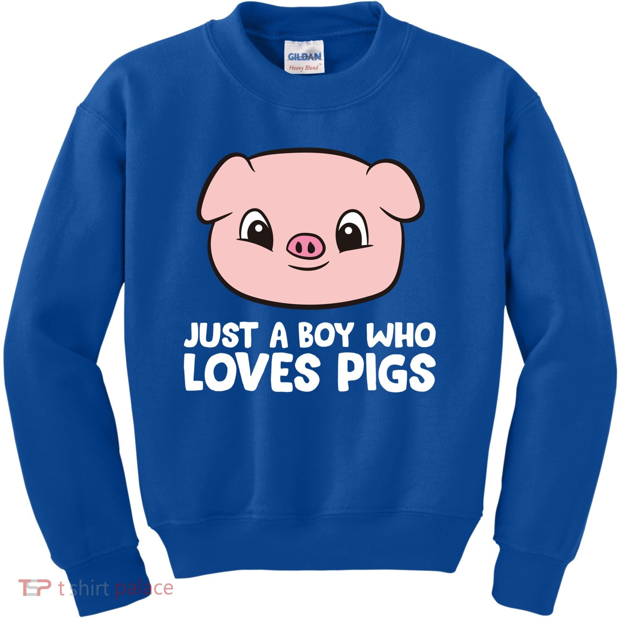 Pig Farmer Boy Just A Boy Who Loves Pigs Cool Gift Kids Sweatshirt
