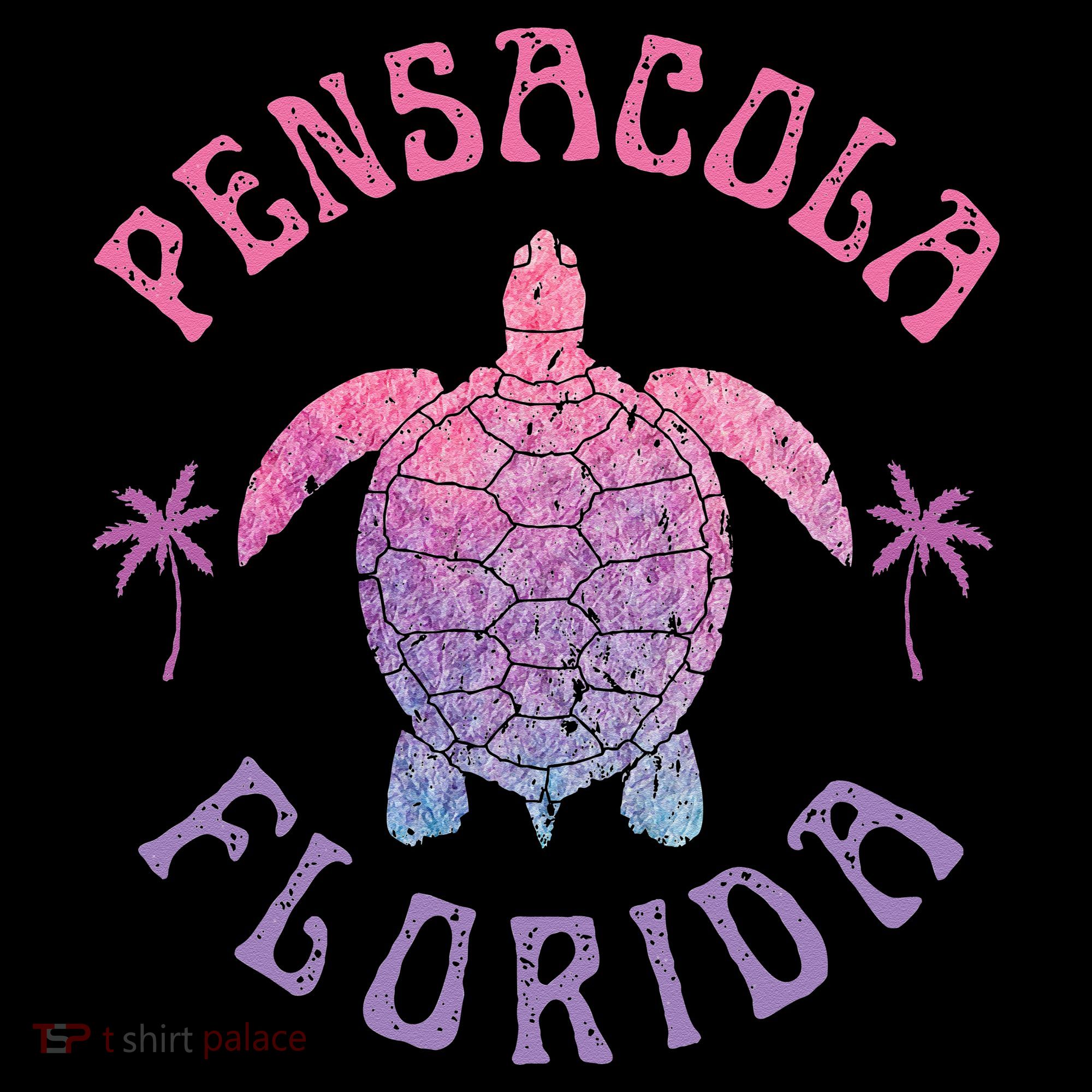 Pensacola Florida Beach Sea Turtle Summer Vacation Women's Hoodie