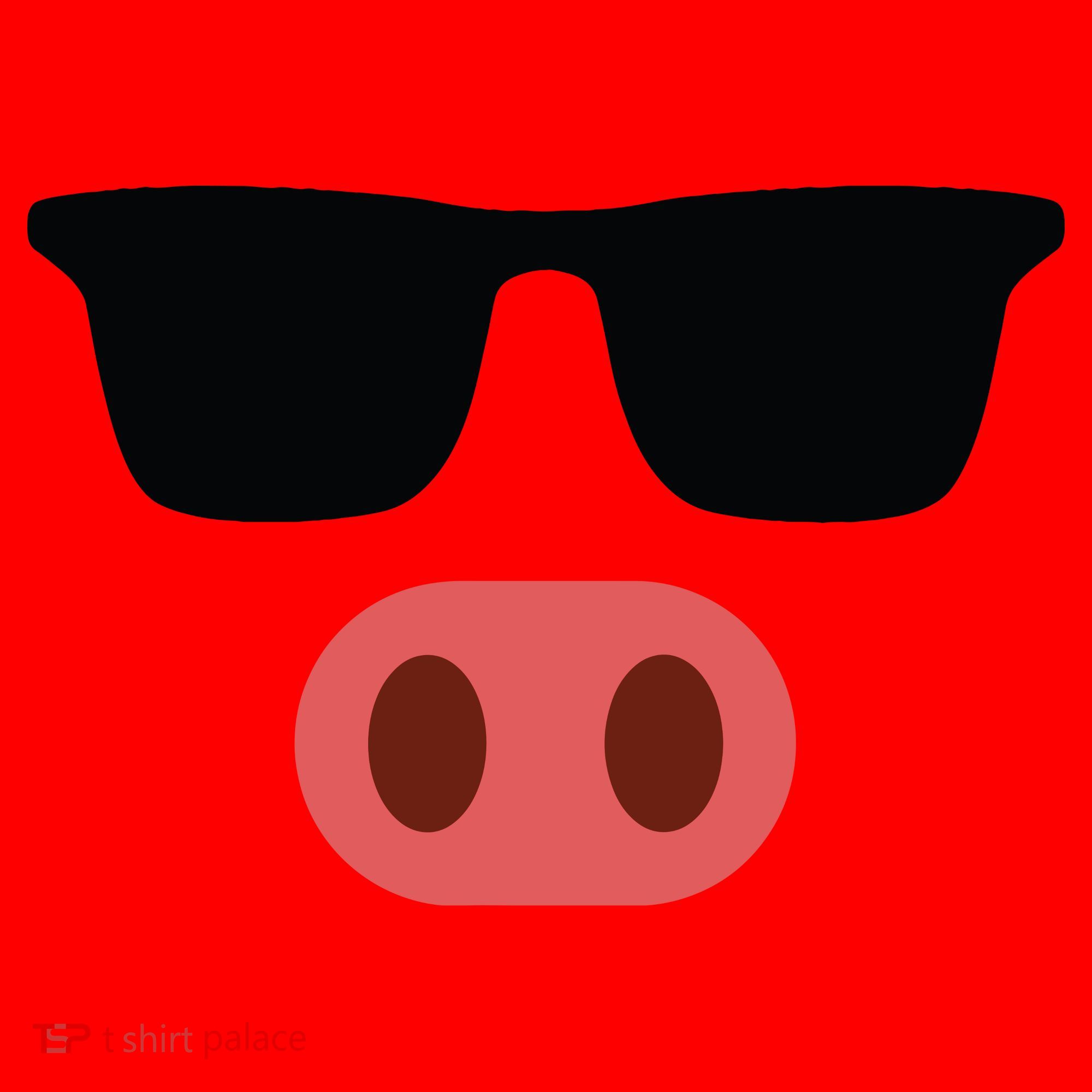 Pig Face Cool Sunglasses Cute Halloween Costume Santa Hat