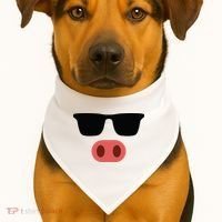 Pig Face Cool Sunglasses Cute Halloween Costume USA-Made Doggie Bandana thumb 1