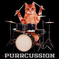 Purrcussion Funny Cat Drummer On Drum Set Percussion Pun Coaster thumb 2