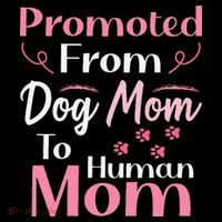 Promoted From Dog Mom To Human Mom MotherS Day Coffee Mug thumb 5