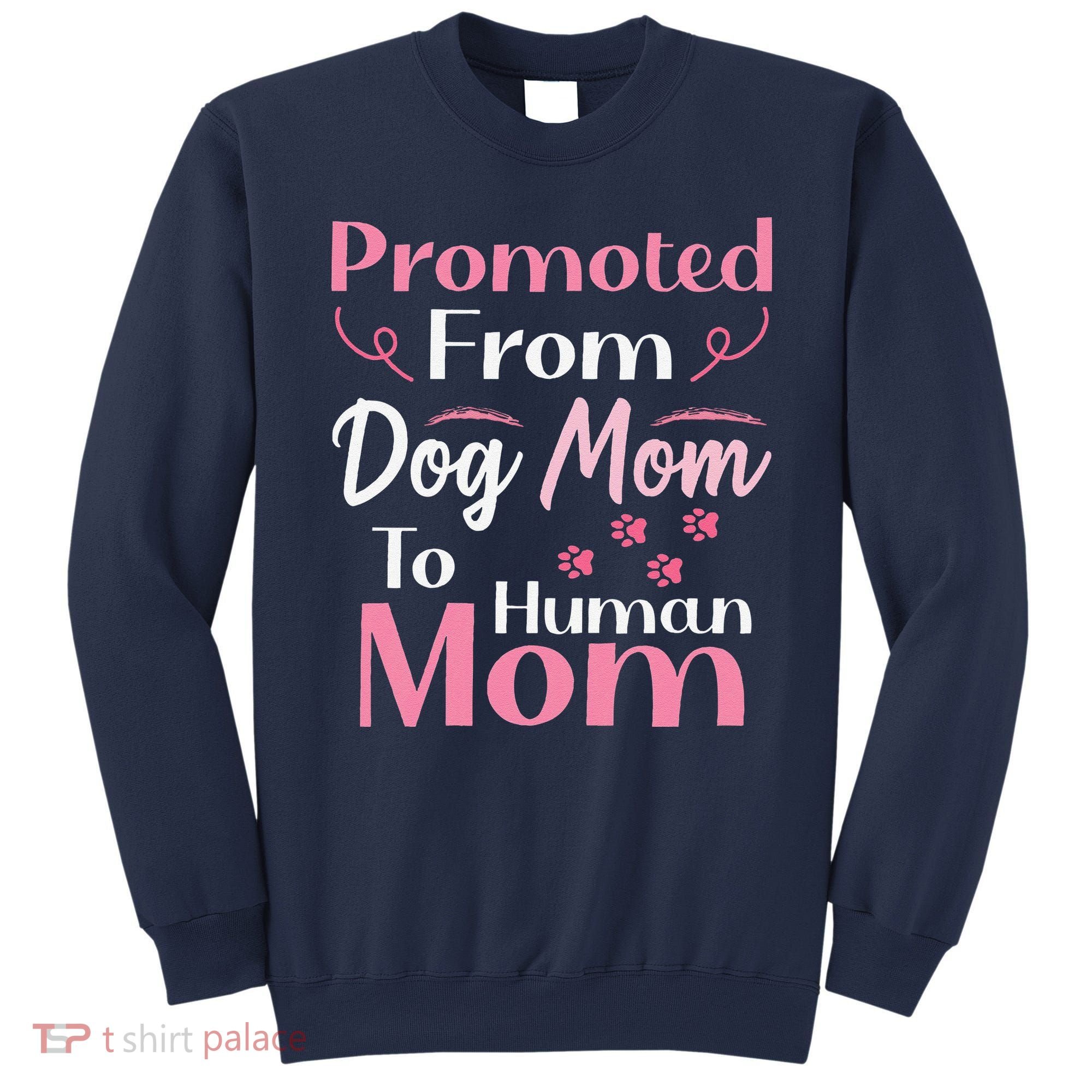 Promoted From Dog Mom To Human Mom MotherS Day Sweatshirt