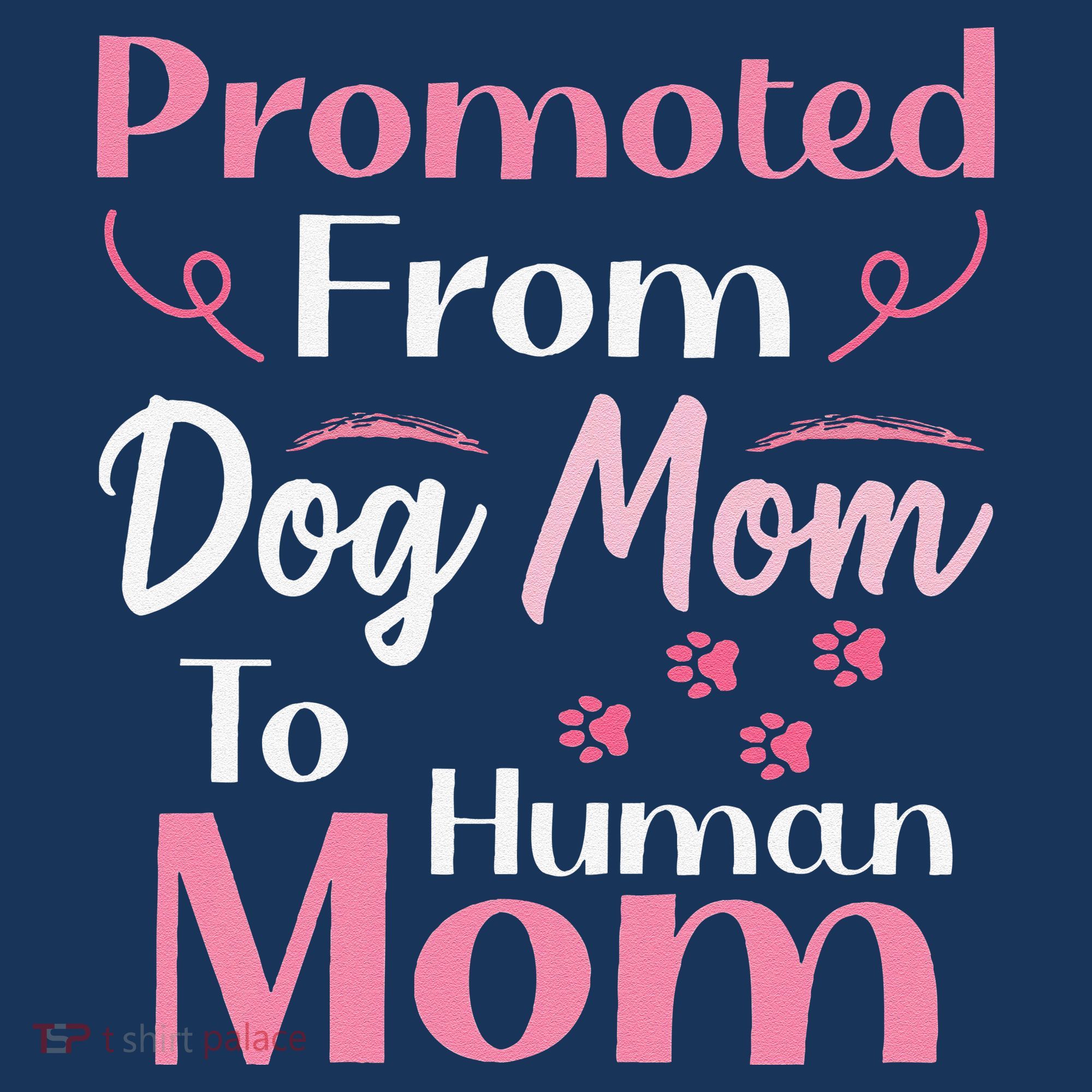Promoted From Dog Mom To Human Mom MotherS Day Visor