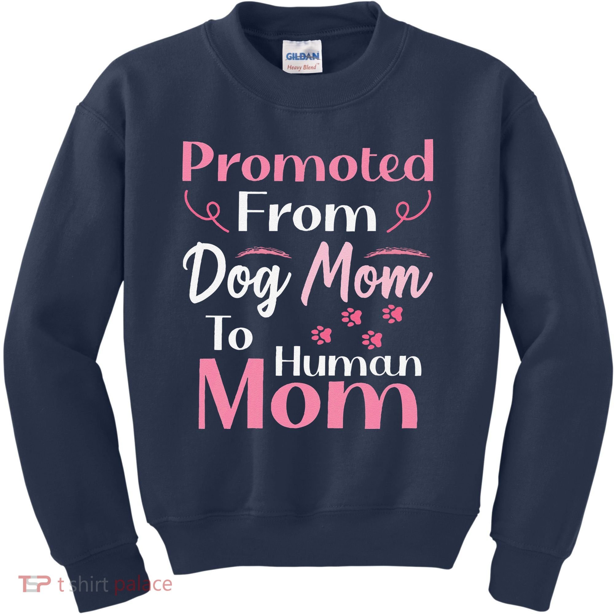 Promoted From Dog Mom To Human Mom MotherS Day Kids Sweatshirt