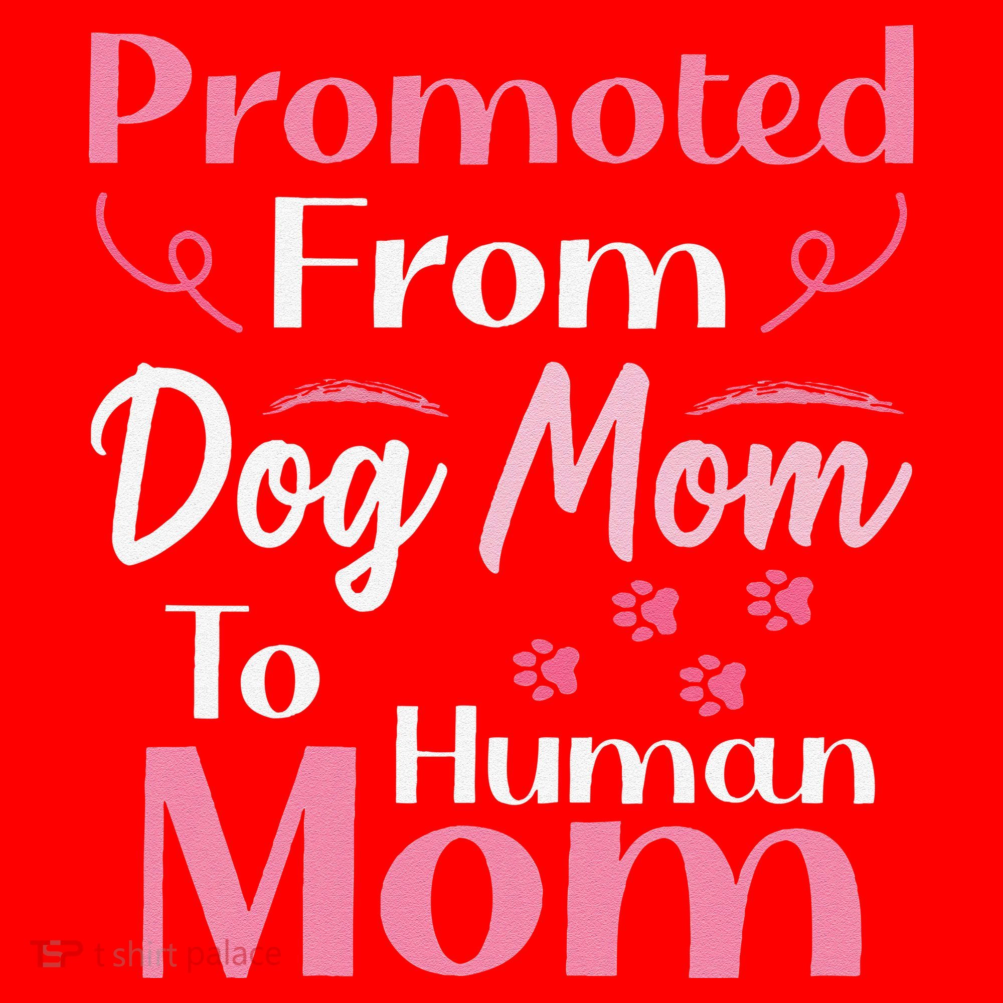 Promoted From Dog Mom To Human Mom MotherS Day Santa Hat