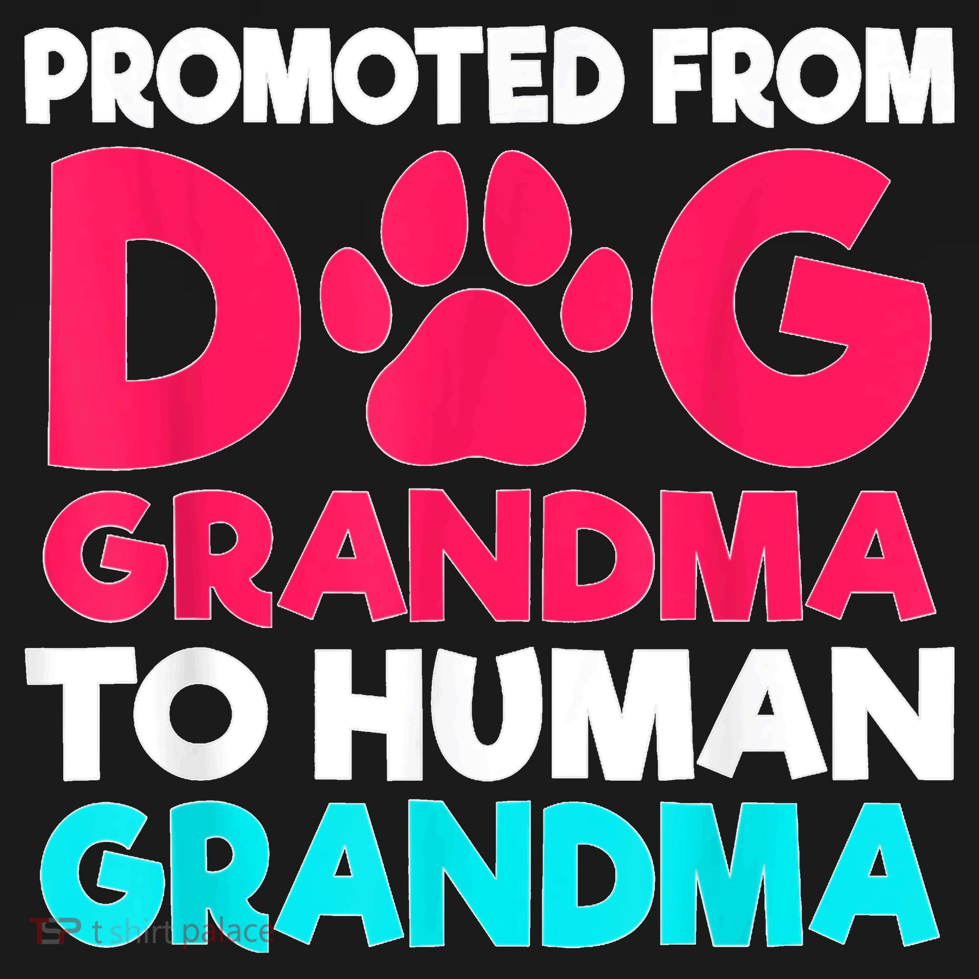 Promoted From Dog Grandma To Human Grandma Family Mother T-Shirt