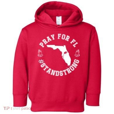 Pray For Florida Stand Strong Hurricane Toddler Hoodie