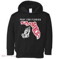 Pray For Florida Hurricane Milton Awareness Toddler Hoodie thumb 0
