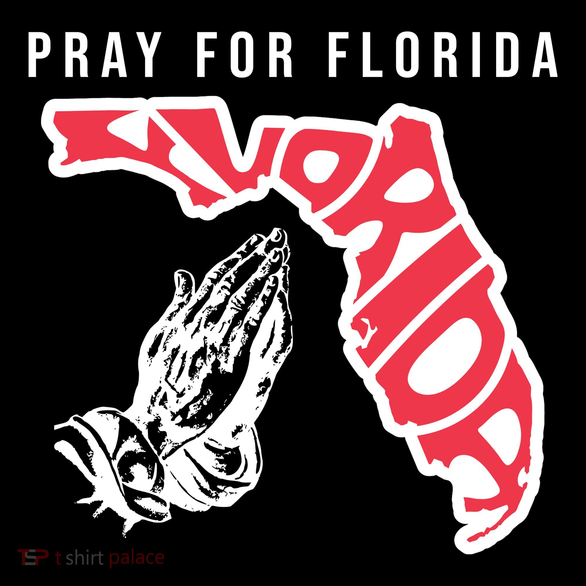 Pray For Florida Hurricane Milton Awareness Toddler Hoodie