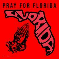 Pray For Florida Hurricane Milton Awareness Santa Hat thumb 1