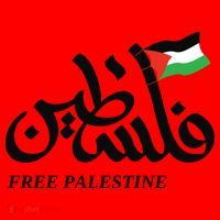 Palestine Flag Free Palestine Santa Hat thumb 1