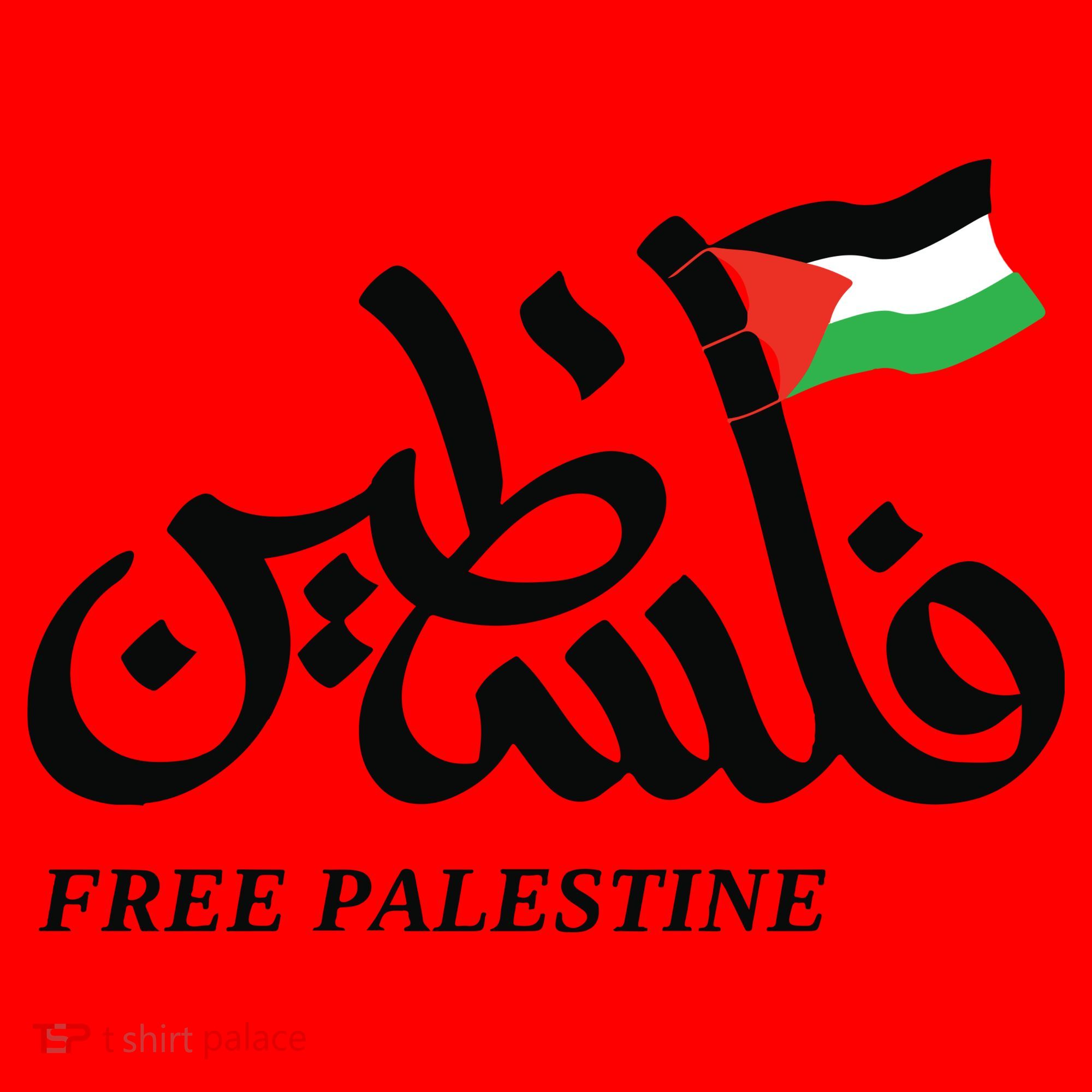 Palestine Flag Free Palestine Santa Hat