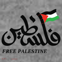 Palestine Flag Free Palestine Toddler Hoodie thumb 2