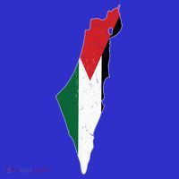Palestine Flag Free Palestine Gift Women's T-Shirt thumb 6