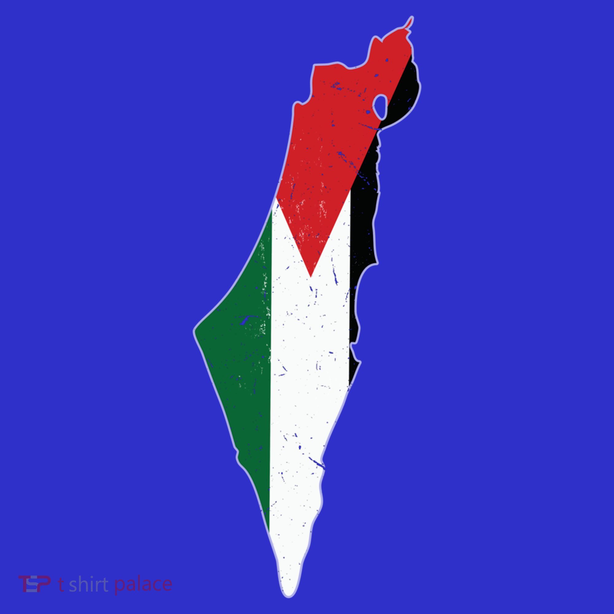 Palestine Flag Free Palestine Gift Women's T-Shirt