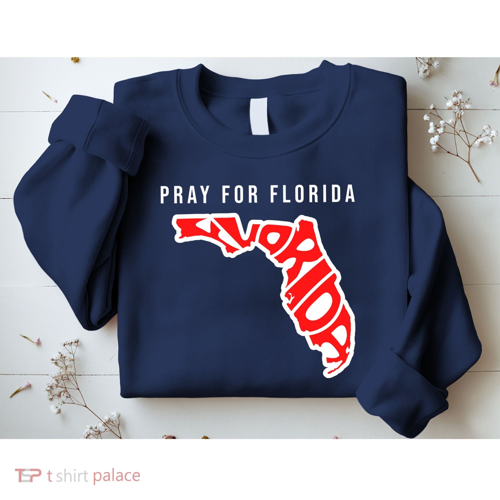 Pray For Florida Hurricane IAN Survivor Sweatshirt