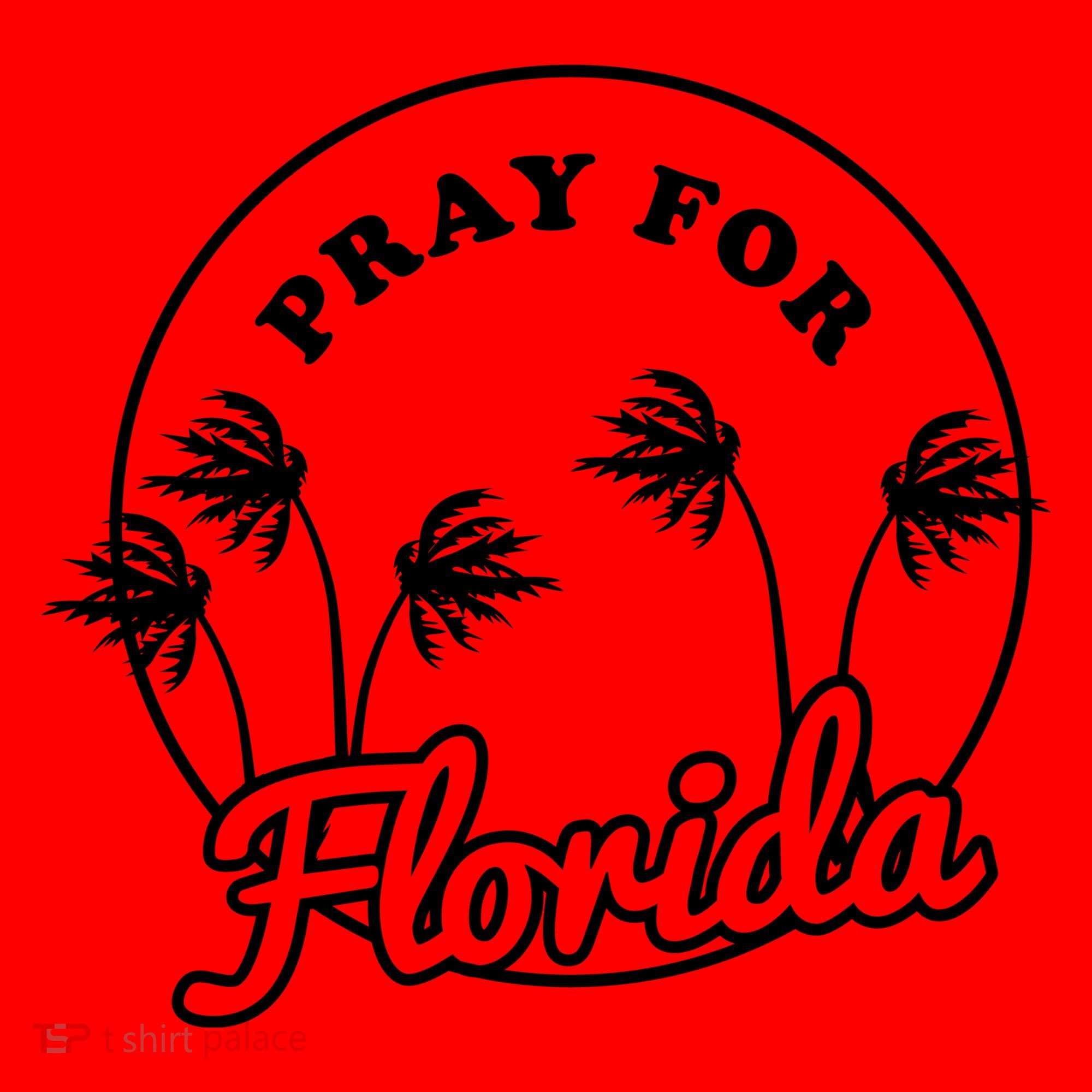 Pray For Florida Santa Hat