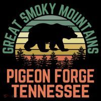 Pigeon Forge Great Smoky Mountains National Park Tennessee Gift Coffee Mug thumb 5